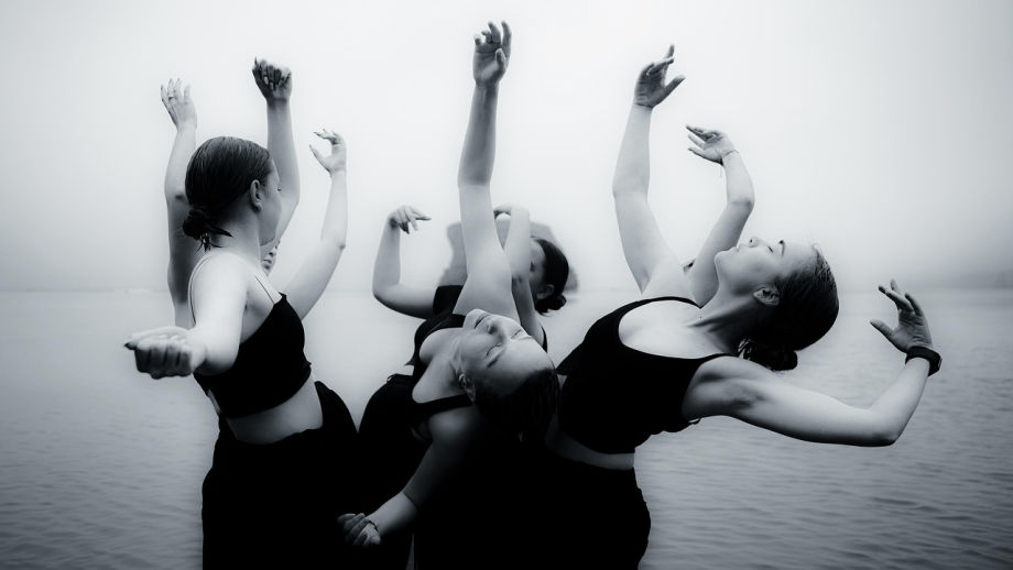 Silver Swans - Coppelia